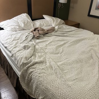 Extended Stayamerica - Sheets crawling with bed bugs for a week that maid services failed to change . GROSX - Hotels Near Me - Brea, California Extended Stayamerica - Sheets crawling with bed bugs for a week that maid services failed to change . GROSX - Hotels Near Me - Brea, California