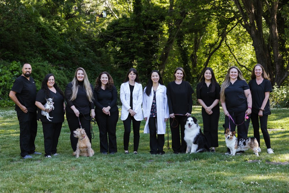 OPHTHALMOLOGY FOR ANIMALS Updated May 2024 36 Photos & 48 Reviews 8053 Valencia St, Aptos