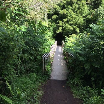 Pipiwai Trail - Bridge across lower falls - Hiking Near Me - Hana,, Hawaii