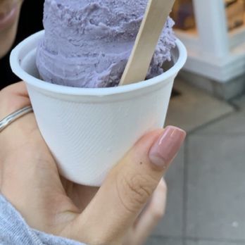 The Bent Spoon - blueberry marscarpone and mint chocolate cookie - Ice Cream & Frozen Yogurt Near Me - Princeton, New Jersey The Bent Spoon - blueberry marscarpone and mint chocolate cookie - Ice Cream & Frozen Yogurt Near Me - Princeton, New Jersey