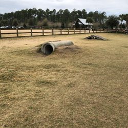 Twenty Mile Dog Park - More activities