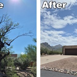 Cutter Tree Service