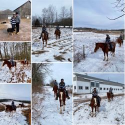 Bridle Hill Farm - Bridle Hill Farm - Michael Kendrick Private Trail Ride 2_2_2025