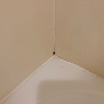 SpringHill Suites by Marriott Baltimore BWI Airport - More disgusting mildew in the corner of the shower. - Hotels Near Me - Linthicum Heights, Maryland