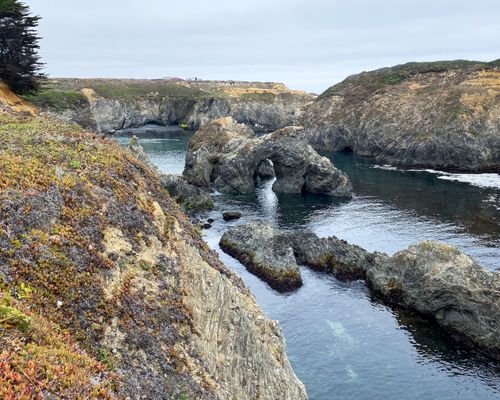 Mendocino Headlands State Park by null
