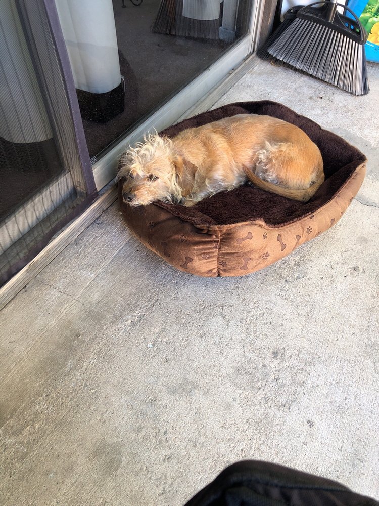 THE MONACO CONDO Updated October 2024 1620 N Wilmot Rd, Tucson