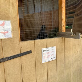 Center For Wildlife - Animal Shelters Near Me - Cape Neddick, Maine