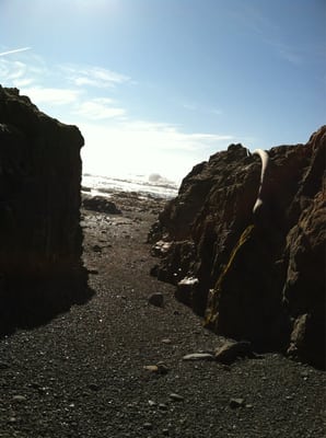 The Tides Inn by null