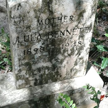 Audubon Swamp Gardens - Cemetary - Parks Near Me - Charleston, South Carolina Audubon Swamp Gardens - Cemetary - Parks Near Me - Charleston, South Carolina