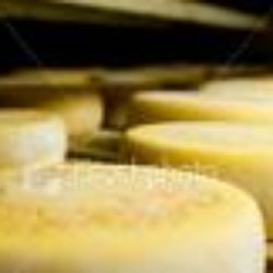 The Salusbury Food Store