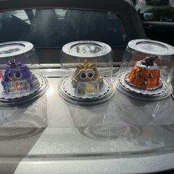Shaw's - Happy Birthday Owl & Happy Anniversary owl and pumpkin owl