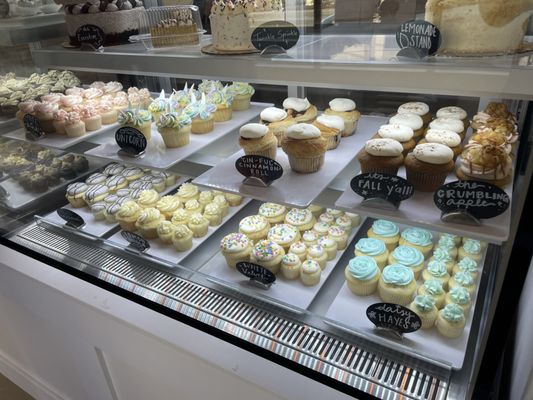 FAT Cupcake by null