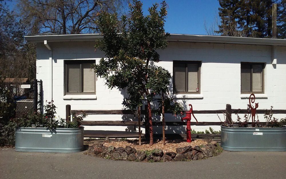 HEALDSBURG VETERINARY HOSPITAL 32 Photos & 26 Reviews 135