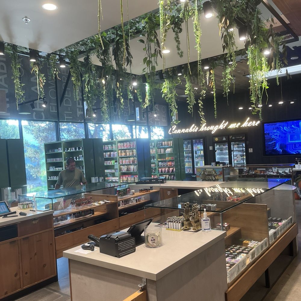 March and Ash Vista Weed Dispensary - Cashier - Cannabis Dispensaries Near Me - Vista, California March and Ash Vista Weed Dispensary - Cashier - Cannabis Dispensaries Near Me - Vista, California