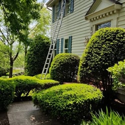 A Plus Professional Maintenance