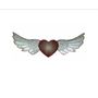 Photo of Soaring Heart Medicine