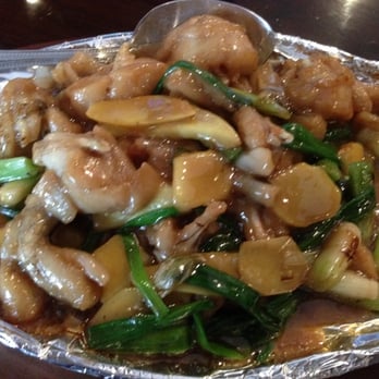 Yummy House - Sizzling Frog Leg - Dim Sum Near Me - Ocala, Florida Yummy House - Sizzling Frog Leg - Dim Sum Near Me - Ocala, Florida
