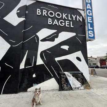 Brooklyn Bagel Bakery - Outside - Bagels Near Me - Los Angeles, California Brooklyn Bagel Bakery - Outside - Bagels Near Me - Los Angeles, California