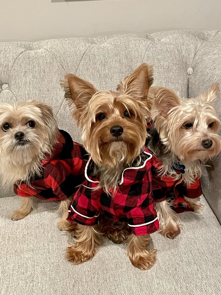 BEEBE HUMANE SOCIETY Updated August 2024 20 Photos 707 Highway 64