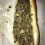 Photo of Apetidos Pizza