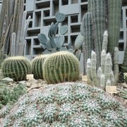 Foto zu Tropengewächshäuser des Botanischen Gartens - Hamburg, Deutschland