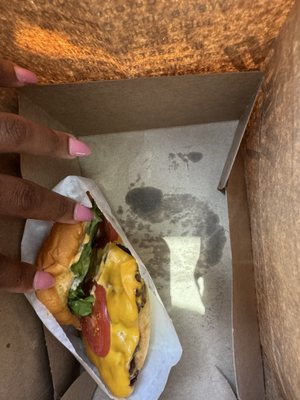 Shake Shack Rice Village by null