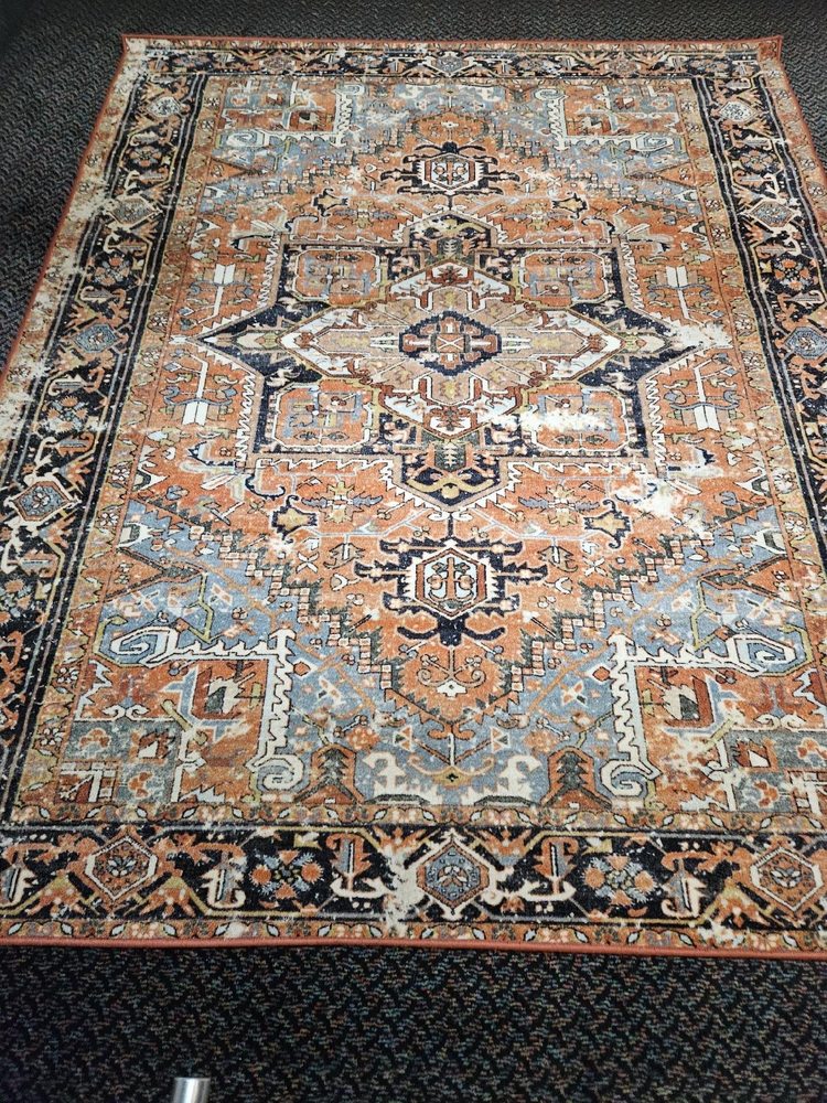 SHARK CARPET AND FLOOR CLEANING - Updated January 2025 - 40 Photos