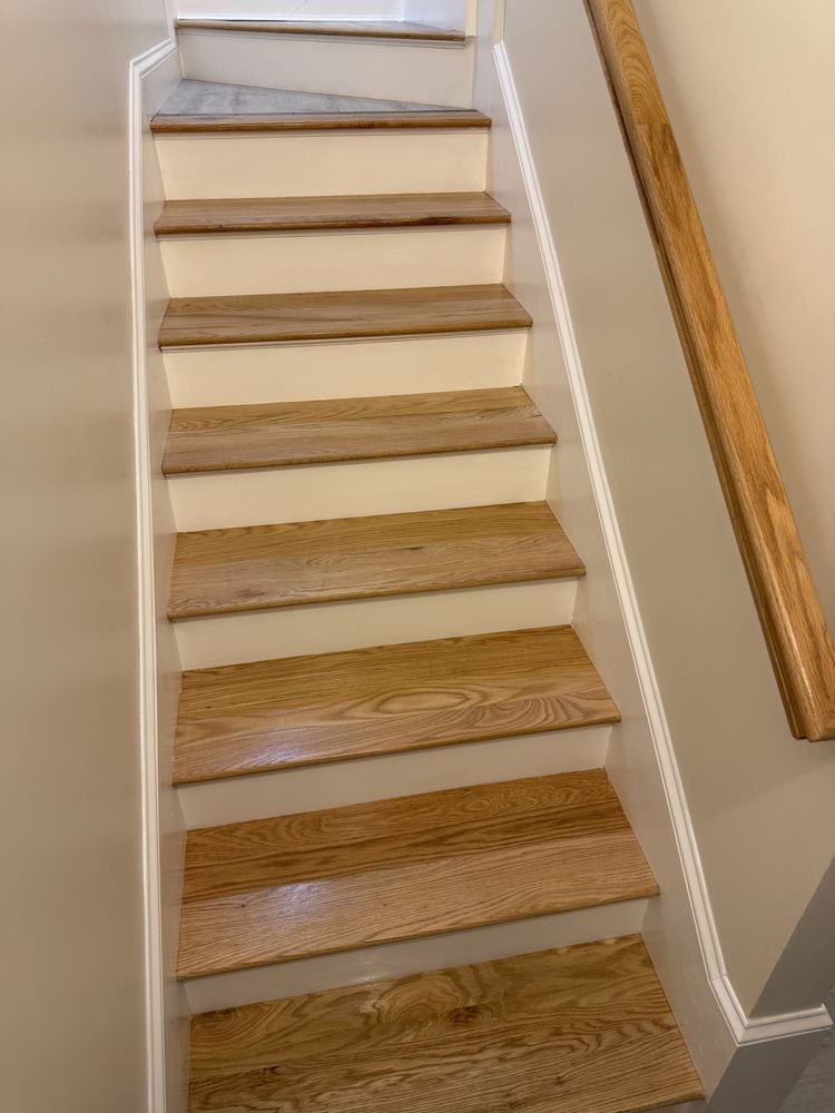 Slide of Pedretti’s Painting