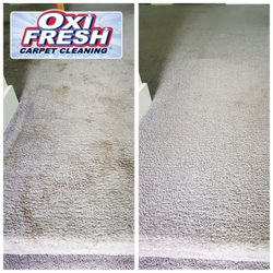 Oxi Fresh Carpet Cleaning