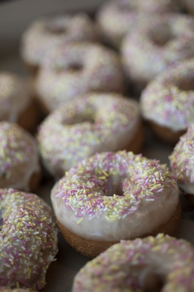 Mighty-O Donuts: Greenlake