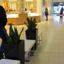 Plant Care - Photo