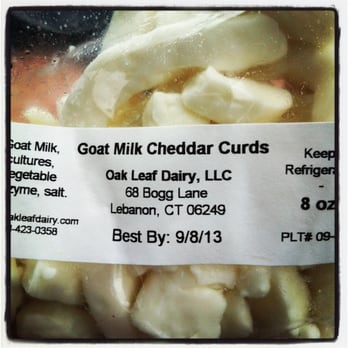 Westerly Farmers Market - Goats milk cheese curds - Farmers Market Near Me - Westerly, Rhode Island Westerly Farmers Market - Goats milk cheese curds - Farmers Market Near Me - Westerly, Rhode Island