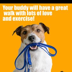 Nyack Strut - Your Buddy will have a great time with fun and friends.