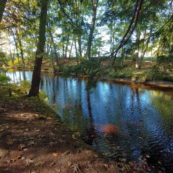 Emmons Preserve