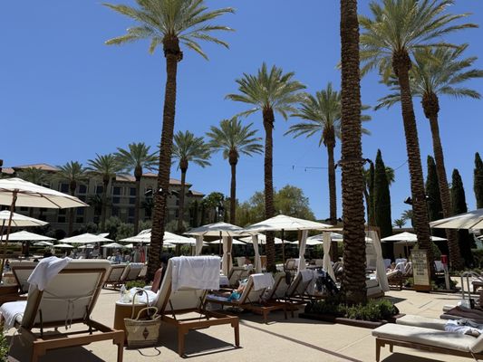 The Pool at Green Valley Ranch by null