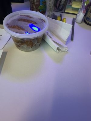 El Rey Taqueria by null