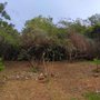 Photo of Solidified Outdoor Service's