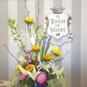 A Touch of Velvet - This salon owner found a cancer from dog's behind. Dog's mother Donna gave him a nice flower. - Pet Groomers Near Me - Glendora, California A Touch of Velvet - This salon owner found a cancer from dog's behind. Dog's mother Donna gave him a nice flower. - Pet Groomers Near Me - Glendora, California