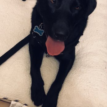 Petco - Pet Groomers Near Me - Monterey, California