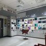 Photo of Sanctuary Salon & Med Spa