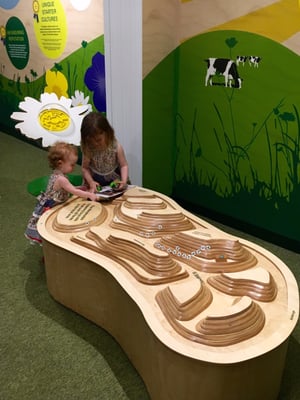 Wensleydale Creamery by null