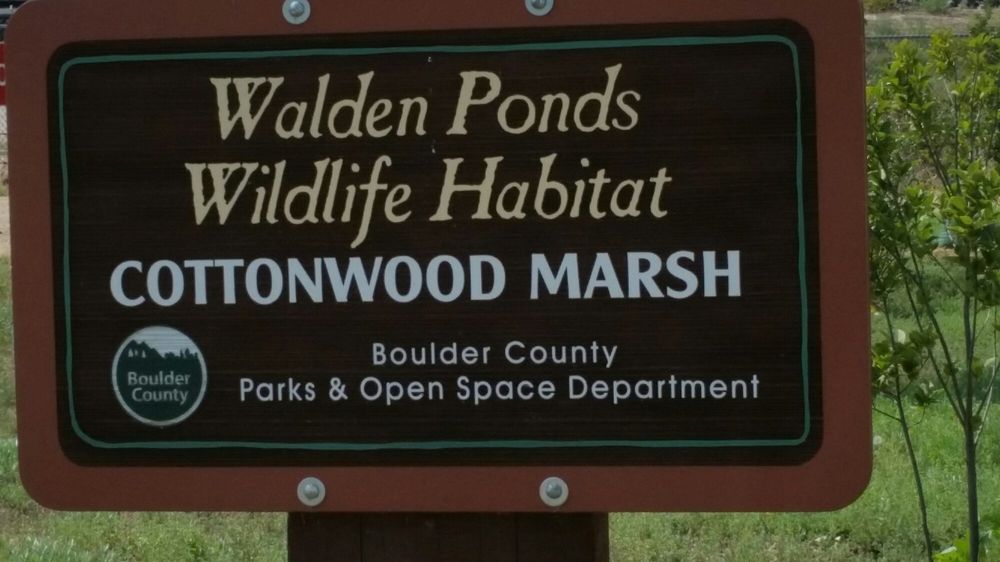 WALDEN PONDS WILDLIFE HABITAT Updated March 2024 Walden Ponds 75th