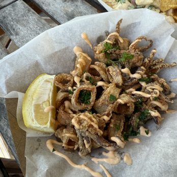 What The Fish Rolls - Fried calamari side, small, $8 - Seafood Near Me - Tavernier, Florida What The Fish Rolls - Fried calamari side, small, $8 - Seafood Near Me - Tavernier, Florida