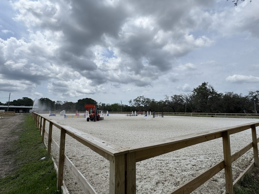 All Night Stable - equestrian in Tampa, FL