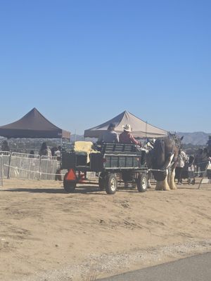 High Desert Farmer’s Market by null