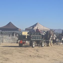 High Desert Farmers Market