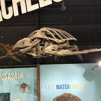 Indiana Dinosaur Museum - Sample Exhibits - Children's Museums Near Me - South Bend, Indiana Indiana Dinosaur Museum - Sample Exhibits - Children's Museums Near Me - South Bend, Indiana