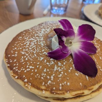 Morning Bliss - Breakfast & Brunch Near Me - Frisco, Texas Morning Bliss - Breakfast & Brunch Near Me - Frisco, Texas