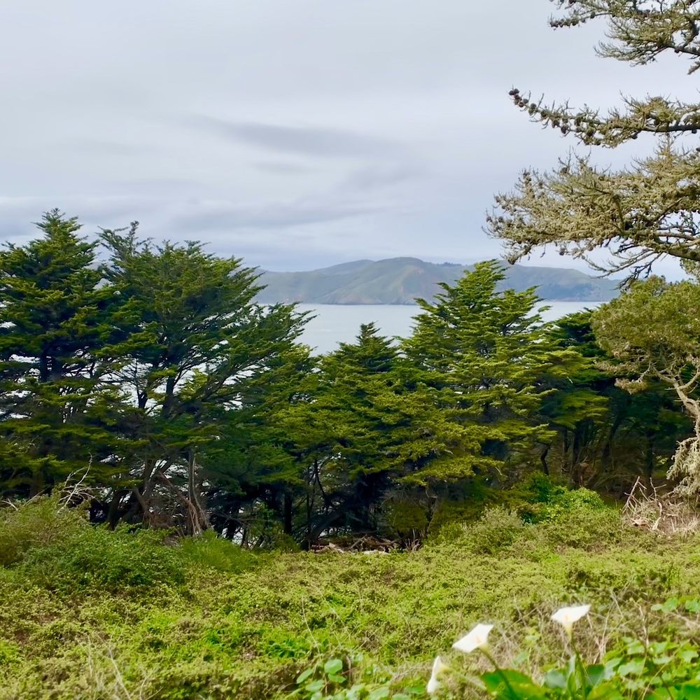 Fort Miley - Overlooking Marin County - Parks Near Me - San Francisco, California Fort Miley - Overlooking Marin County - Parks Near Me - San Francisco, California