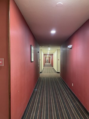 Hotel san jose by null